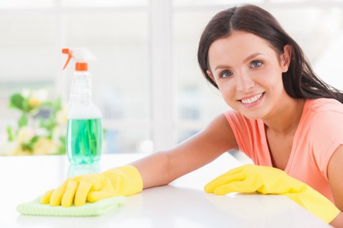 Experienced cleaner in Harrow performing detailed deep cleaning