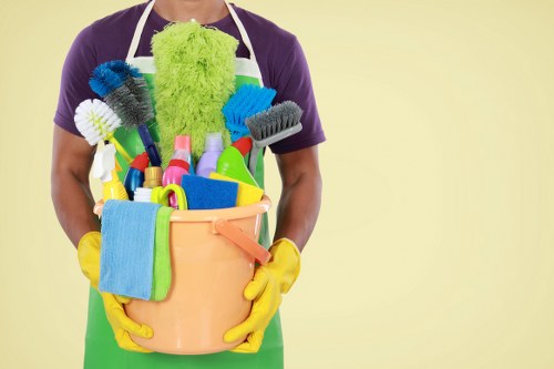Professional Harrow Cleaner introduction with a local cleaning service concept