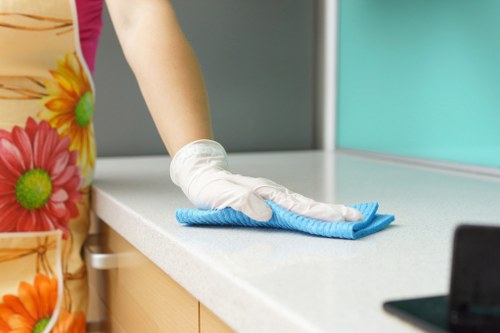 Kitchen cleaning service in a Harrow home