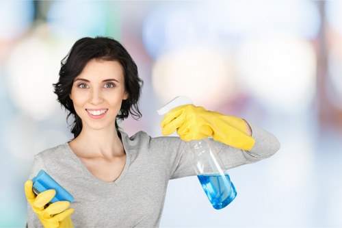 Domestic cleaning service in Harrow maintaining a spotless kitchen