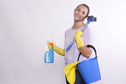 Investigation stage of a cleaner complaint procedure