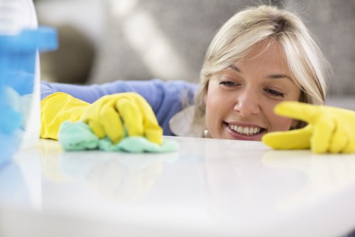 Domestic cleaner in Harrow working in a modern bathroom