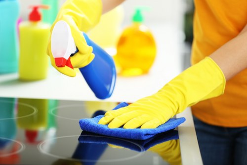 Cleaning products and protective gloves arranged safely