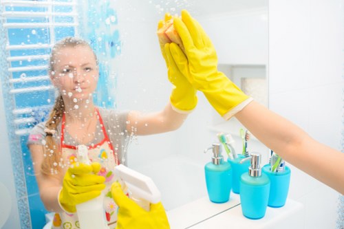 Domestic cleaning services in Harrow