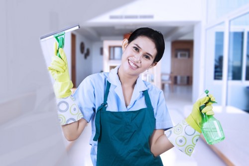 Bathroom cleaning in a Harrow property