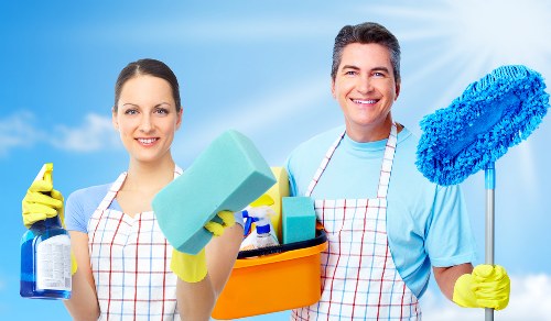 Reliable Harrow cleaner delivering consistent cleaning results